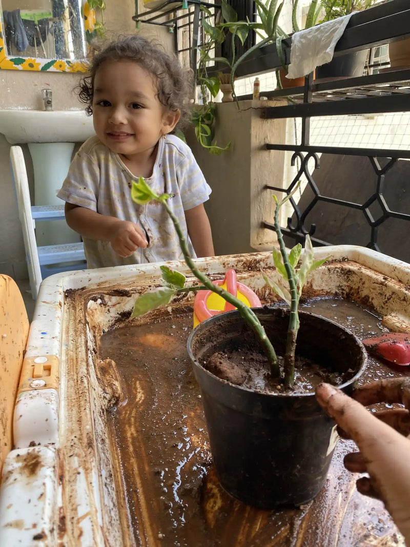 A young child with curly hair smiling while standing behind a plant pot filled with soil and a muddy sensory bin.