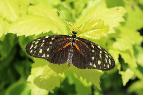 10 Fun Activities to Teach Patterns and Symmetry to Your Child