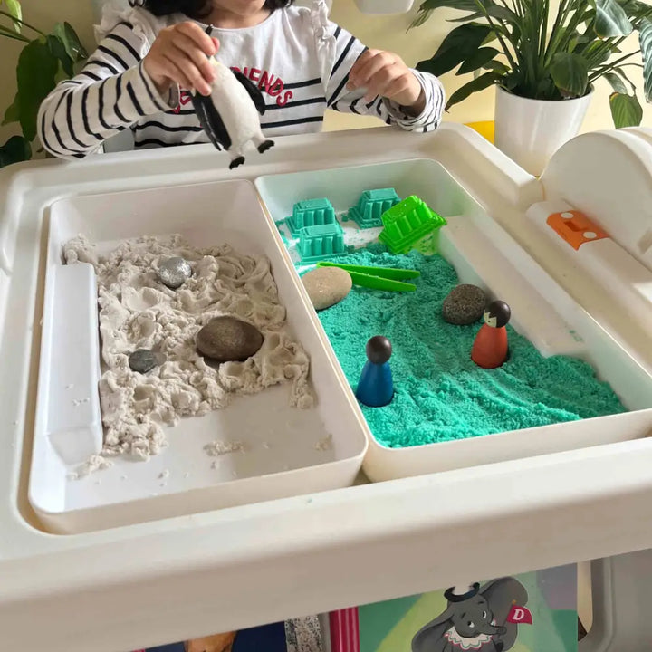 Combo 3: FlexDesk with Bookshelf + Sensory Play Bin