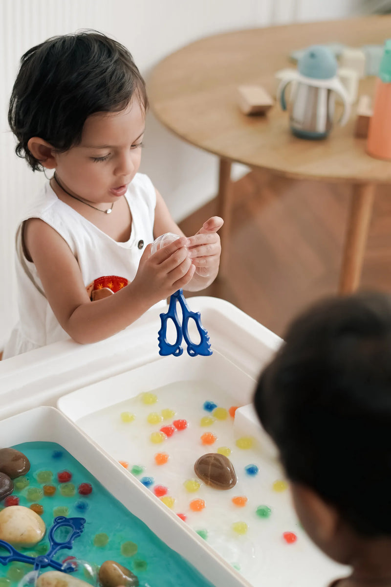 Fine Motor